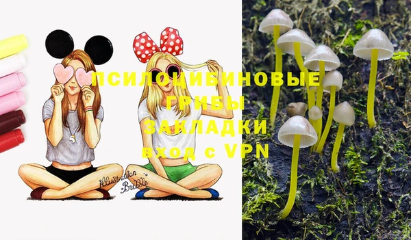 ECSTASY Алексеевка